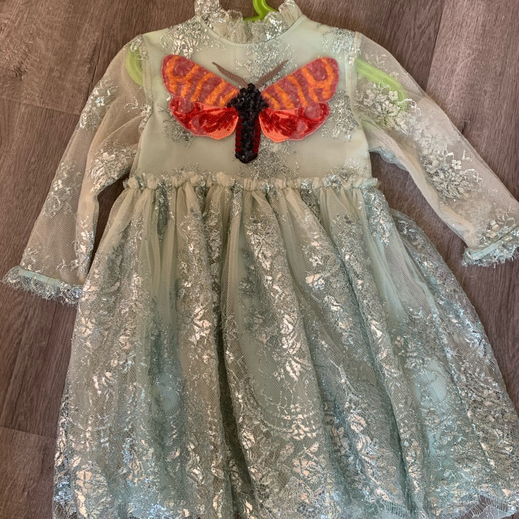 Kids Butterfly Green Long Dress Size 4